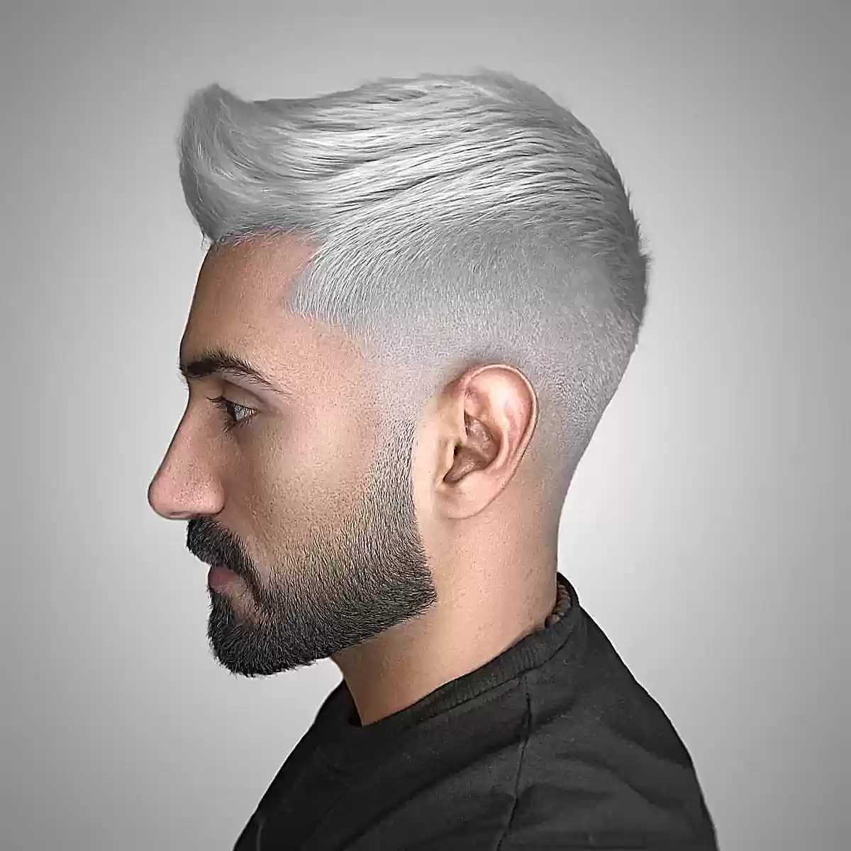 Tall silver pompadour with faded sides