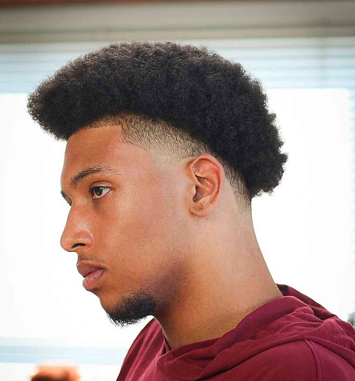 Rounded curly afro with faded sides and a soft perimeter.