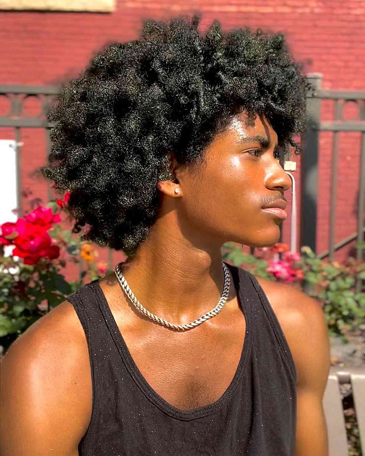 Full rounded afro with even volume and soft edges.