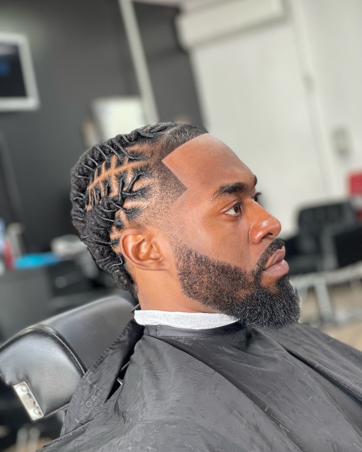 Side view of dread rows with a fade and braided lengths.