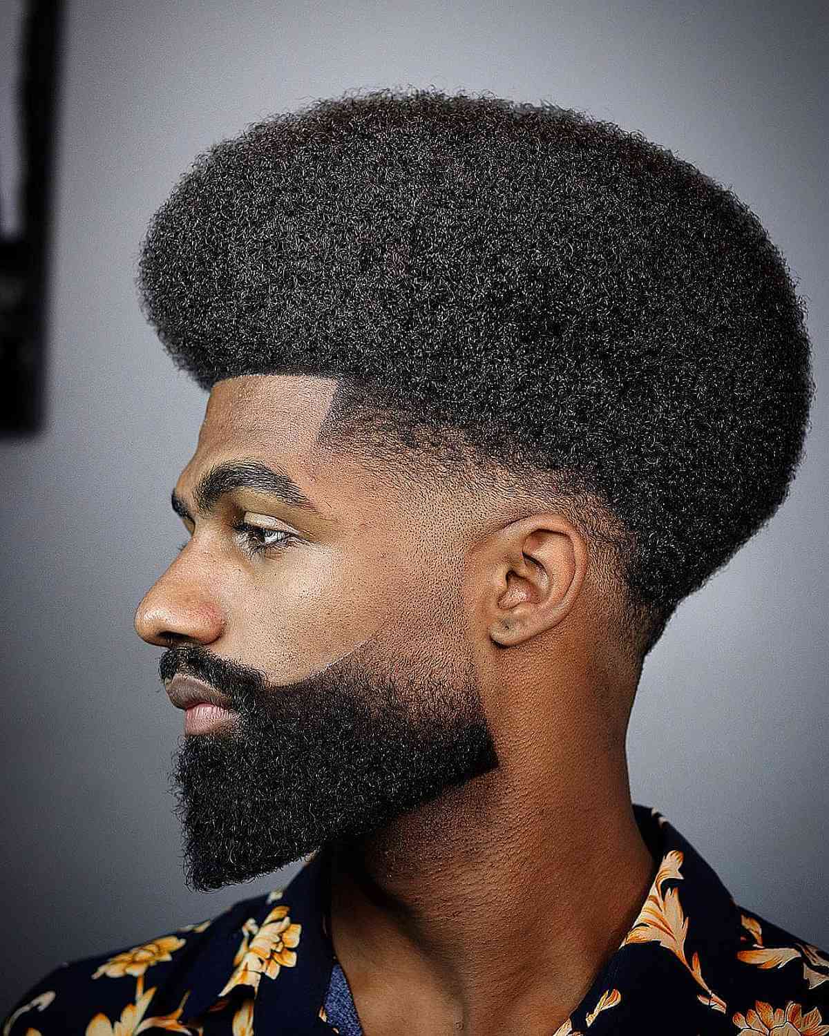 Large rounded afro with temple fade and a full shaped beard.